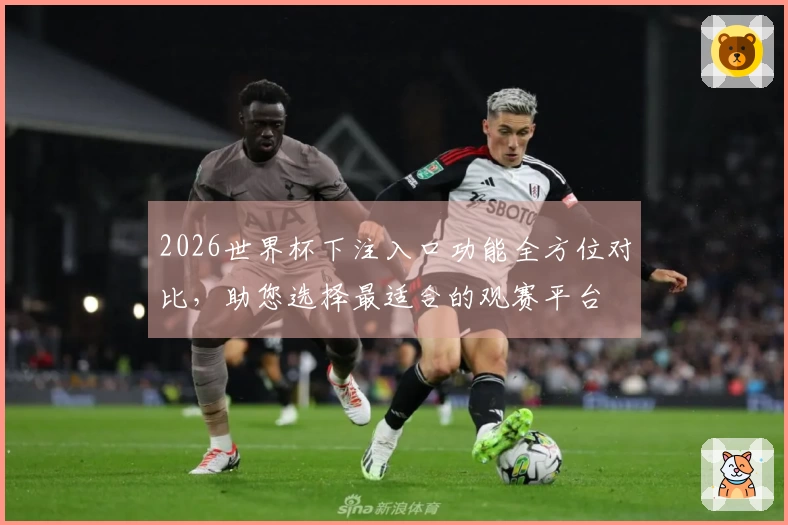 2026世界杯下注入口功能全方位对比，助您选择最适合的观赛平台