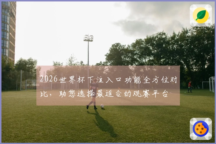 2026世界杯下注入口功能全方位对比，助您选择最适合的观赛平台